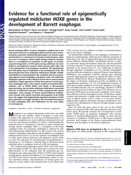 Evidence for a Functional Role of Epigenetically Regulated Midcluster HOXB Genes in the Development of Barrett Esophagus