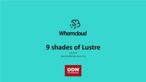 9 Shades of Lustre 04/2019 Sbuisson@Whamcloud.Com Lustre Features Review