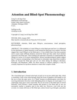 Attention and Blind-Spot Phenomenology