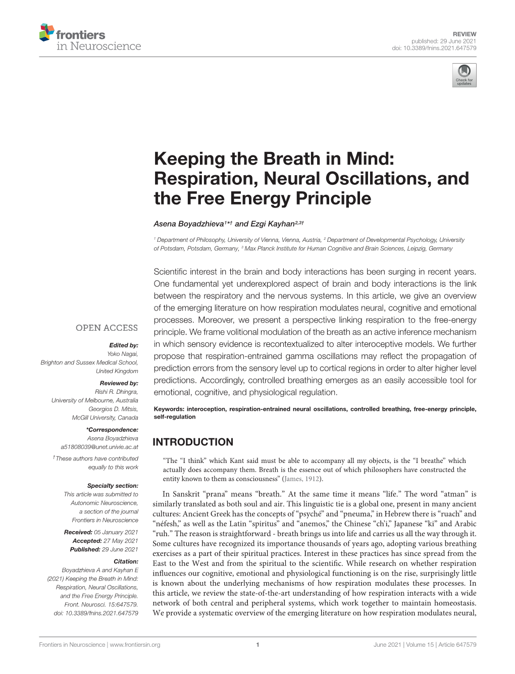 Respiration, Neural Oscillations, and the Free Energy Principle