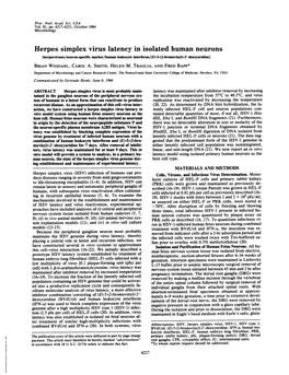 Herpes Simplex Virus Latency in Isolated Human Neurons [Herpesviruses/Neuron-Specific Marker/Human Leukocyte Interferon/(E)-5-(2-Bromovinyl)-2'-Deoxyuridine]