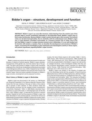 Bidder's Organ – Structure, Development and Function