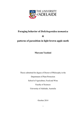 Foraging Behavior of Dolichogenidea Tasmanica & Patterns of Parasitism