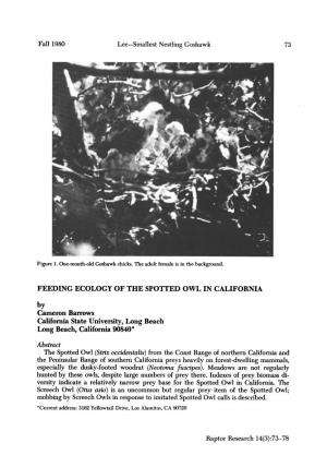 Feeding Ecology of the Spotted Owl in California
