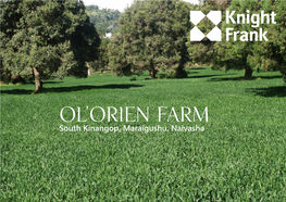 Ol'orien Farm