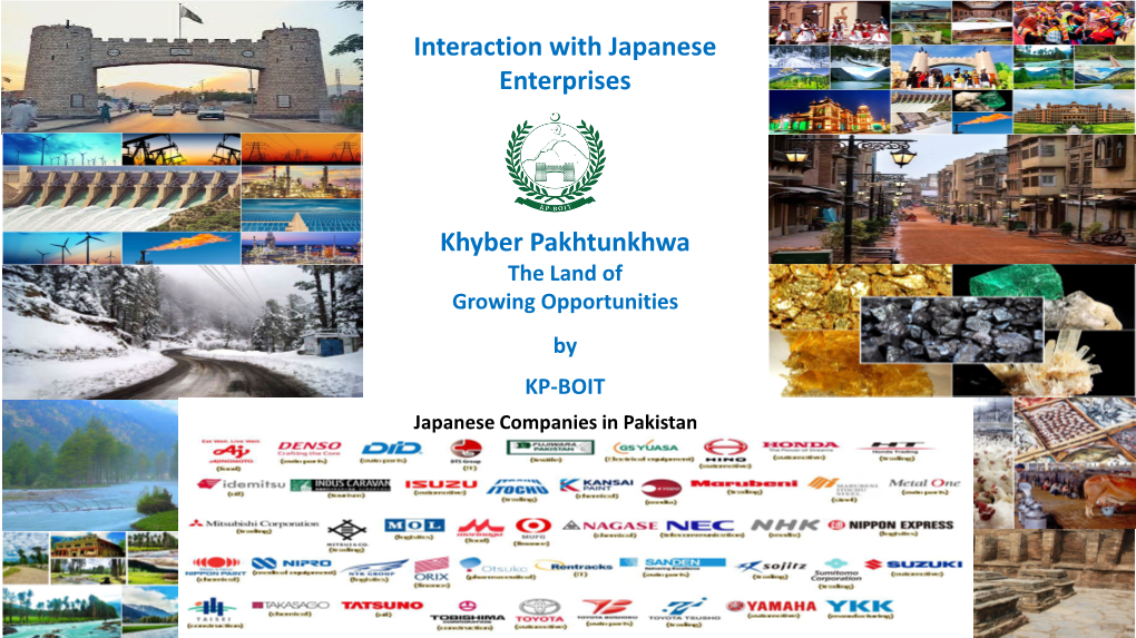 Interaction with Japanese Enterprises Khyber Pakhtunkhwa