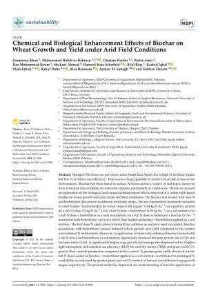 Chemical and Biological Enhancement Effects of Biochar on Wheat Growth and Yield Under Arid Field Conditions