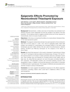 Epigenetic Effects Promoted by Neonicotinoid Thiacloprid Exposure