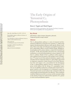 The Early Origins of Terrestrial C4 Photosynthesis