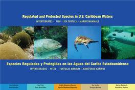 Regulated and Protected Species in U.S. Caribbean Waters Especies