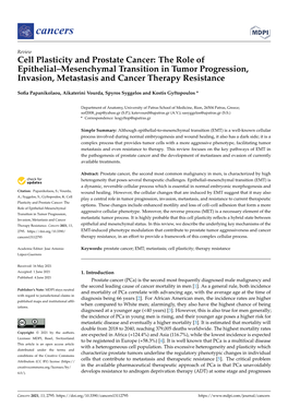 Cell Plasticity and Prostate Cancer: the Role of Epithelial–Mesenchymal Transition in Tumor Progression, Invasion, Metastasis and Cancer Therapy Resistance