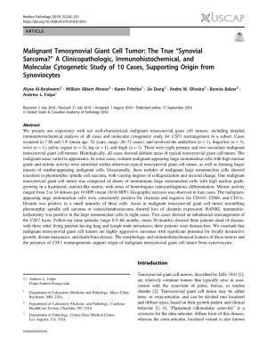 Malignant Tenosynovial Giant Cell Tumor: the True Â€Œsynovial Sarcoma?Â€• a Clinicopathologic, Immunohistochemical
