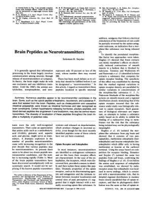 Brain Peptides As Neurotransmitters (2)