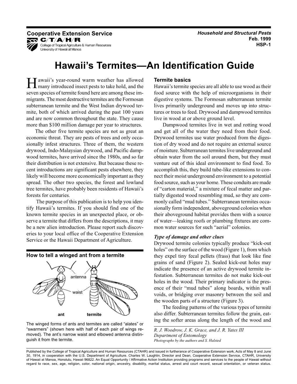 termites-an-identification-guide-docslib