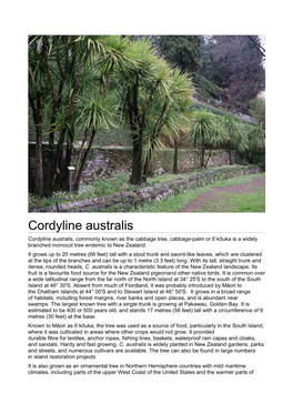 Cordyline Australis Cordyline Australis, Commonly Known As the Cabbage Tree, Cabbage-Palm Or Tī Kōuka Is a Widely Branched Monocot Tree Endemic to New Zealand