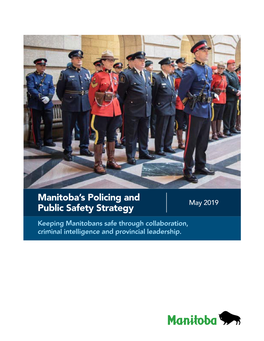Policing and Public Safety Strategy