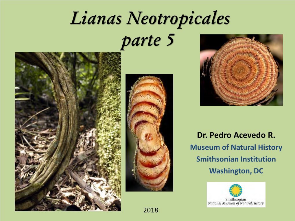 Lianas Neotropicales, Parte 5