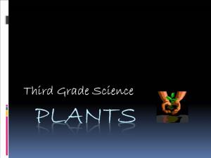 Third Grade Science PLANTS