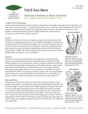 TACF Fact Sheet American Chestnut Vs