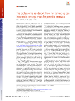 The Proteasome As a Target: How Not Tidying up Can Have Toxic Consequences for Parasitic Protozoa Elizabeth A
