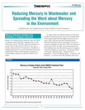 Reducing Mercury in Wastewater and Spreading the Word About Mercury in the Environment