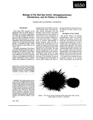 Biology of the Red Sea Urchin, Strongylocentrotus Franciscanus, and Its Fishery in California