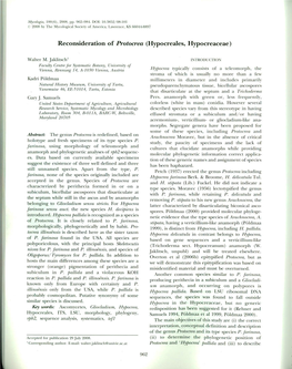 Reconsideration of Protocrea (Hypocreales, Hypocreaceae)
