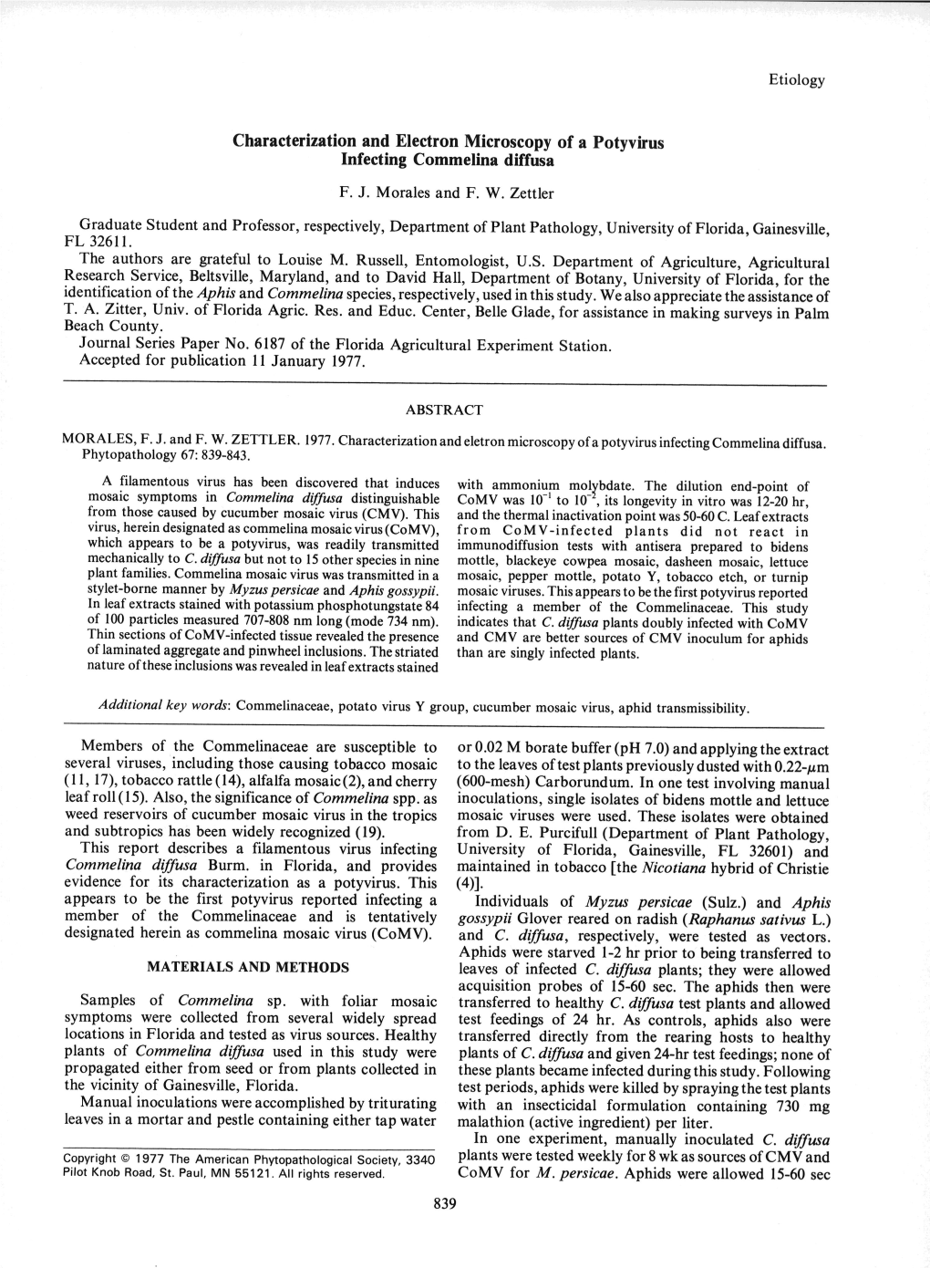 Characterization and Electron Microscopy of a Potyvirus Infecting Commelina Diffusa F