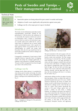 Pests of Swedes and Turnips ^ Their Management and Control