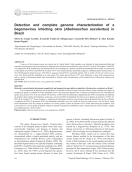 Detection and Complete Genome Characterization of a Begomovirus Infecting Okra (Abelmoschus Esculentus) in Brazil