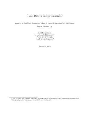 Panel Data in Energy Economics∗