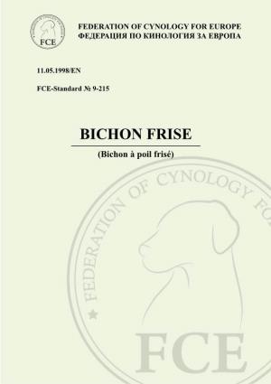 BICHON FRISE (Bichon À Poil Frisé) 2
