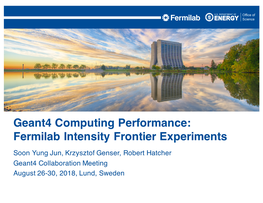 Geant4 Computing Performance: Fermilab Intensity Frontier Experiments