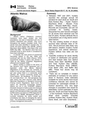 Atlantic Walrus Summary • Between 1997 and 2001, Hunters