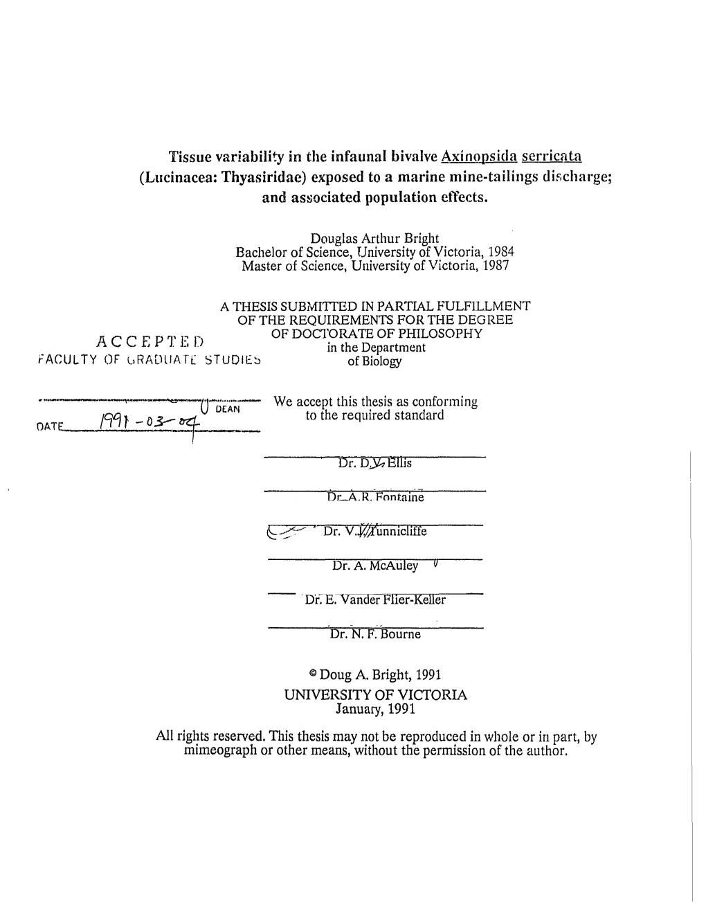 Tissue Variability in the Infaunal Bivalve Axinopsida Serricata