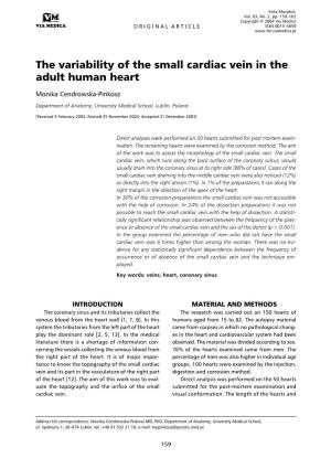The Variability of the Small Cardiac Vein in the Adult Human Heart