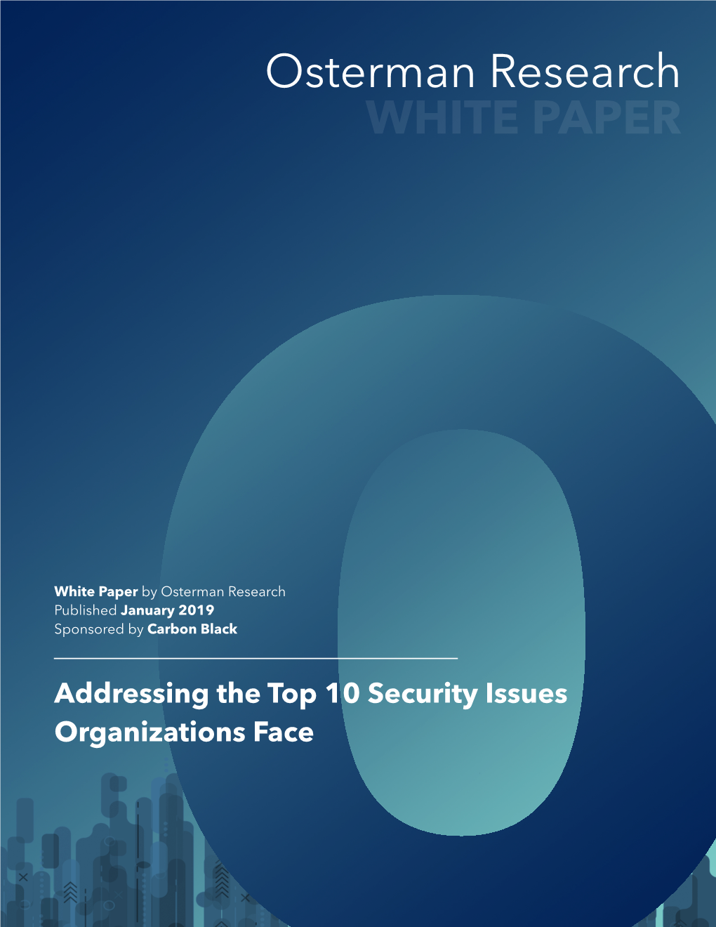 Addressing the Top 10 Security Issues Organizations Face