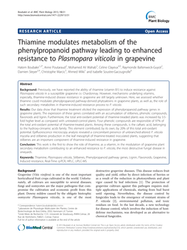 Thiamine Modulates Metabolism of the Phenylpropanoid Pathway