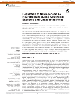 Regulation of Neurogenesis by Neurotrophins During Adulthood: Expected and Unexpected Roles