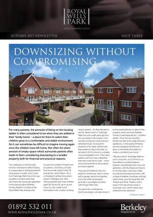 Downsizing Without Compromising
