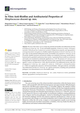 In Vitro Anti-Biofilm and Antibacterial Properties of Streptococcus Downii