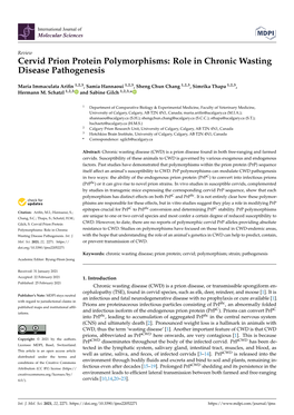 Cervid Prion Protein Polymorphisms: Role in Chronic Wasting Disease Pathogenesis