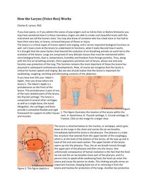 How the Larynx (Voice Box) Works