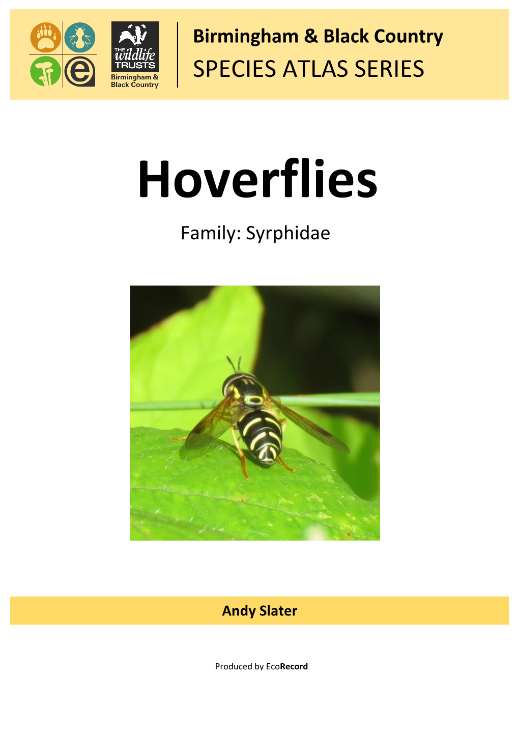 Hoverflies Family: Syrphidae