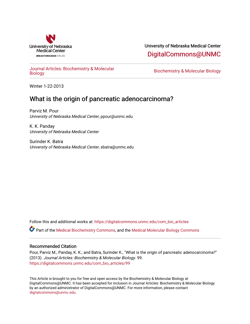 What Is the Origin of Pancreatic Adenocarcinoma?