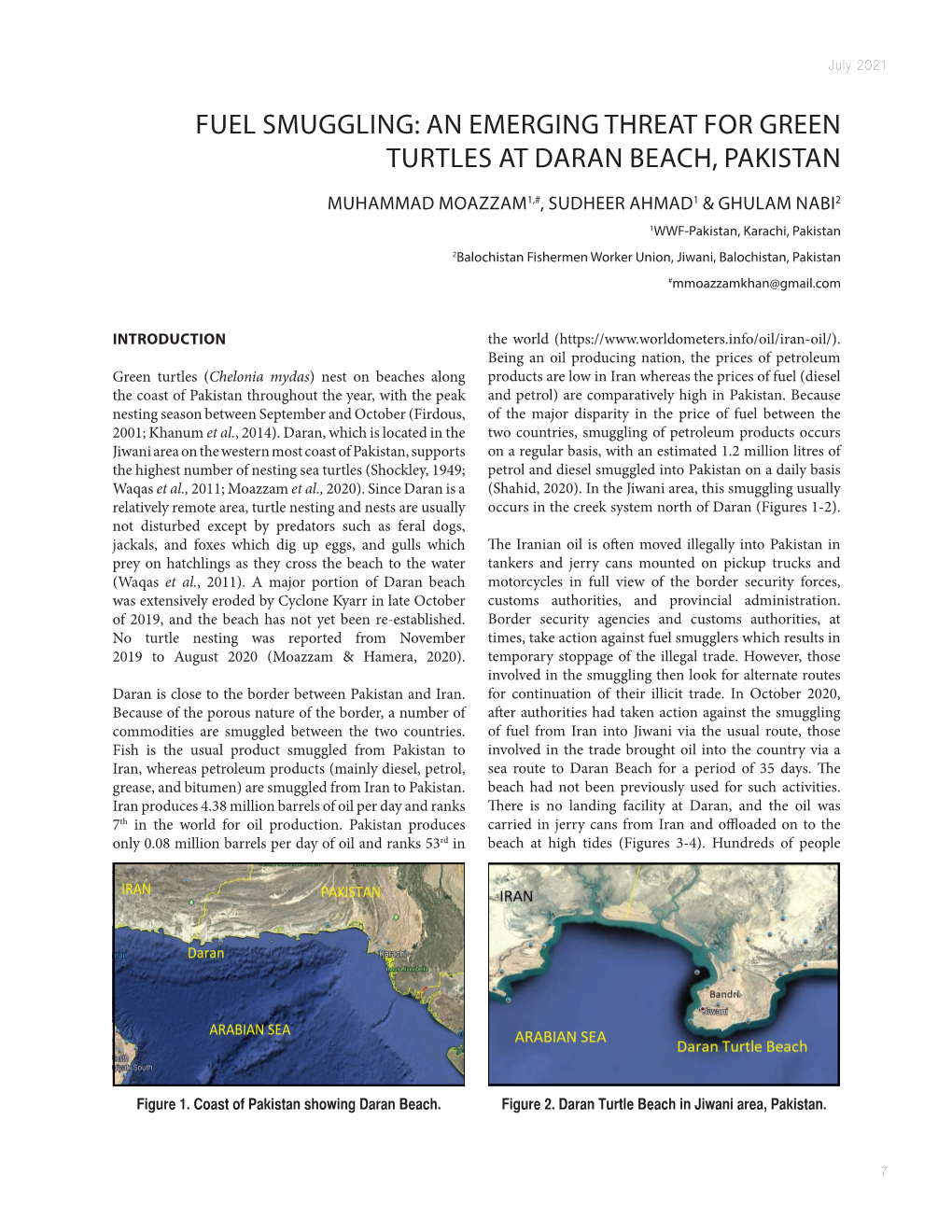 Fuel Smuggling: an Emerging Threat for Green Turtles at Daran Beach, Pakistan