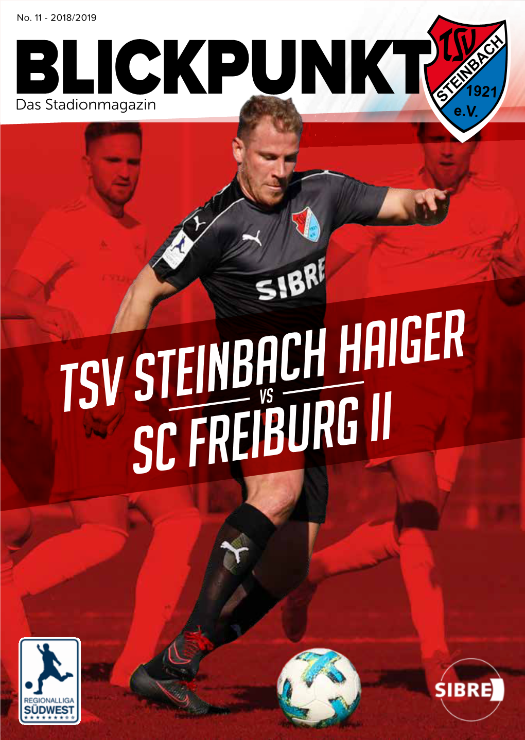 Tsv Steinbach Haiger Sc Freiburg Ii