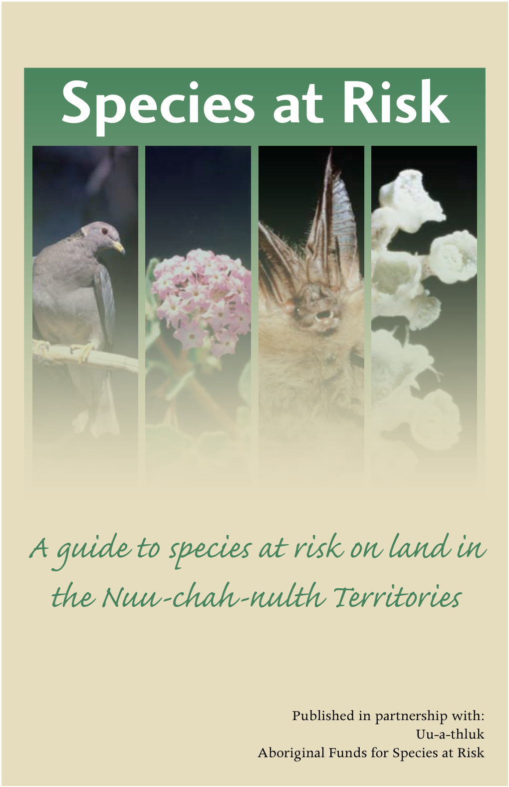 A Guide to Species at Risk on Land in the Nuu‑Chah‑Nulth Territories