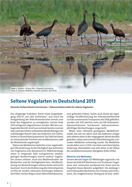 Seltene Vogelarten in Deutschland 2013