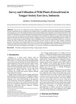 Wild Plants, Indigenous Knowledge, Tengger People, East Java